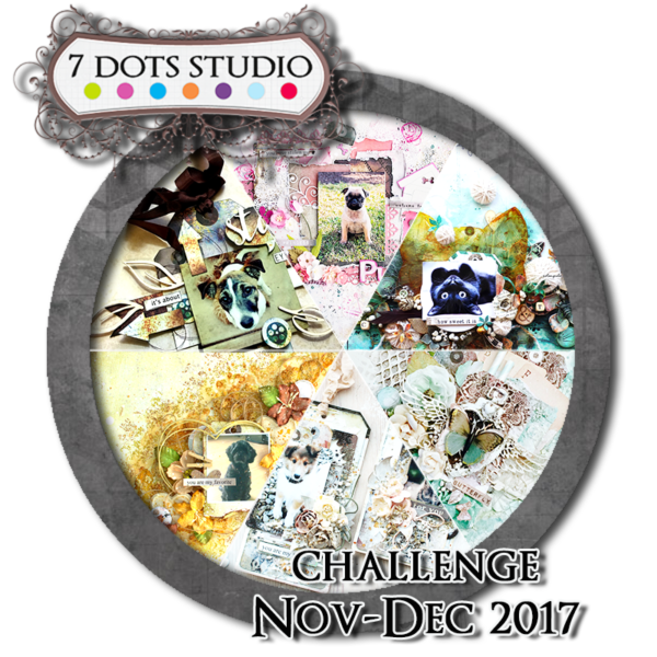 november 2017 winners and features