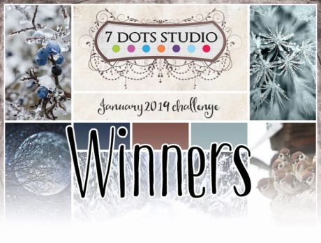 january 2019 winners and features