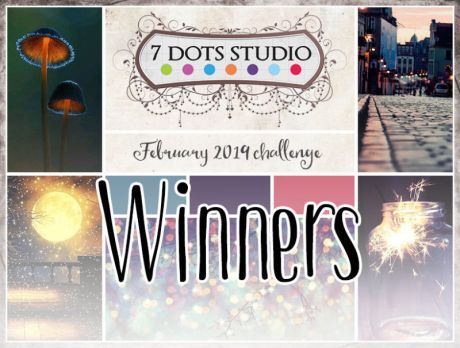february 2019 winners and features
